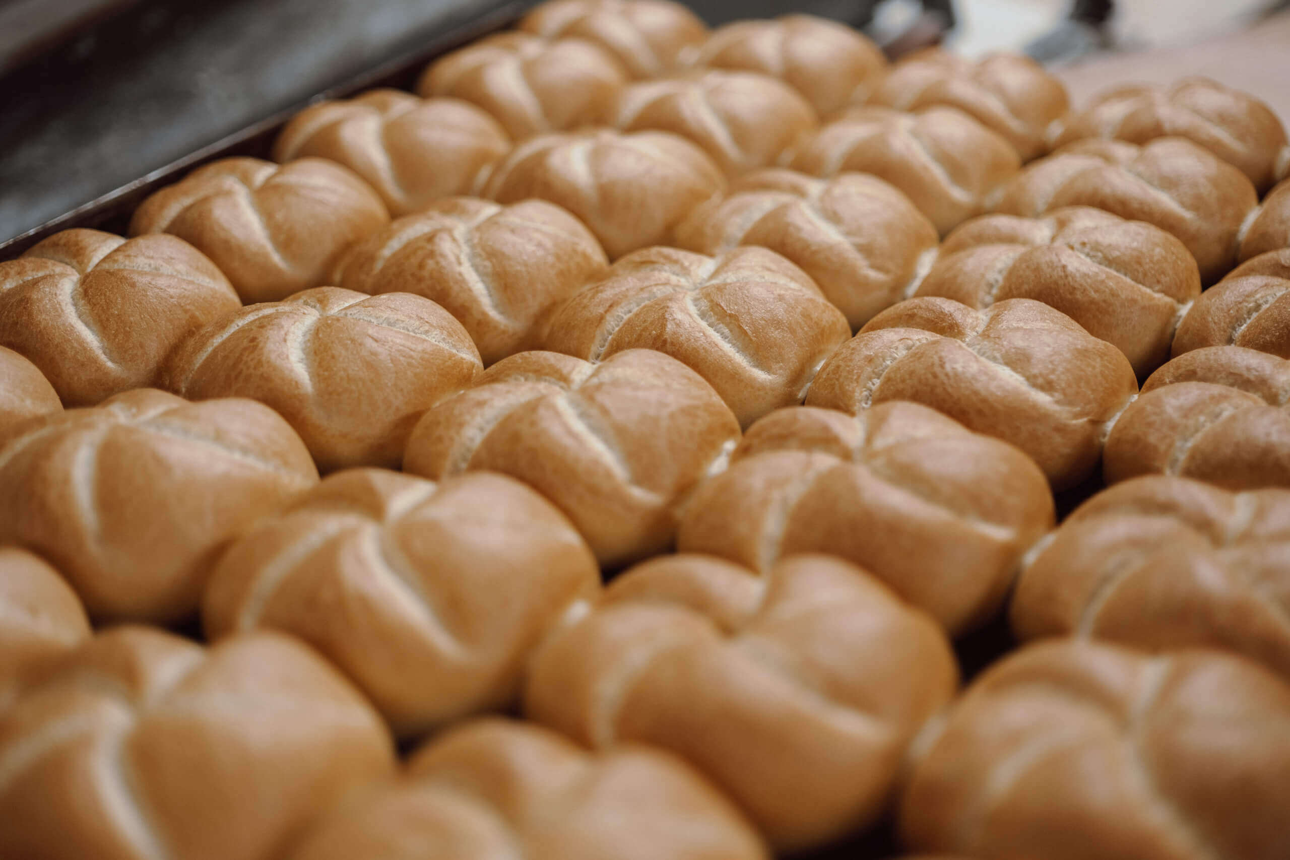 Frische Handsemmeln aus der Bäckerei Ebner in Anif bei Salzburg